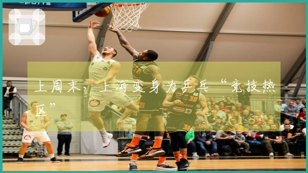 上周末,上海变身为乒乓“竞技热区”